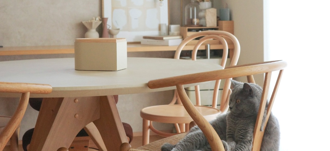 モールテックスで後悔？その不安、誤解かも。デメリットを知って愛着に変えるヒント